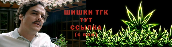 тгк Абаза