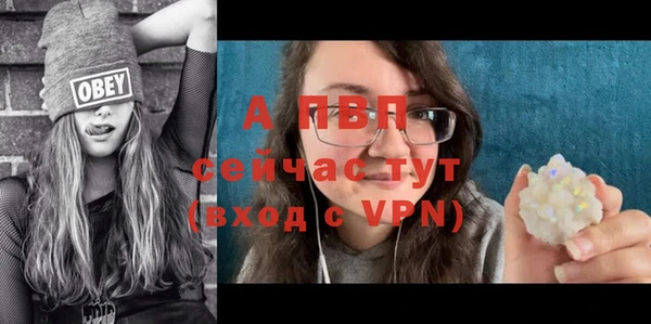 тгк Абаза