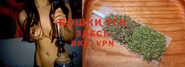 гидра Алексеевка