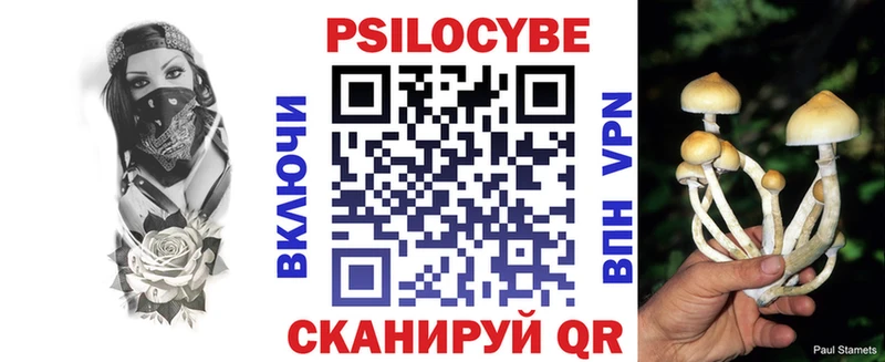Галлюциногенные грибы GOLDEN TEACHER Яхрома